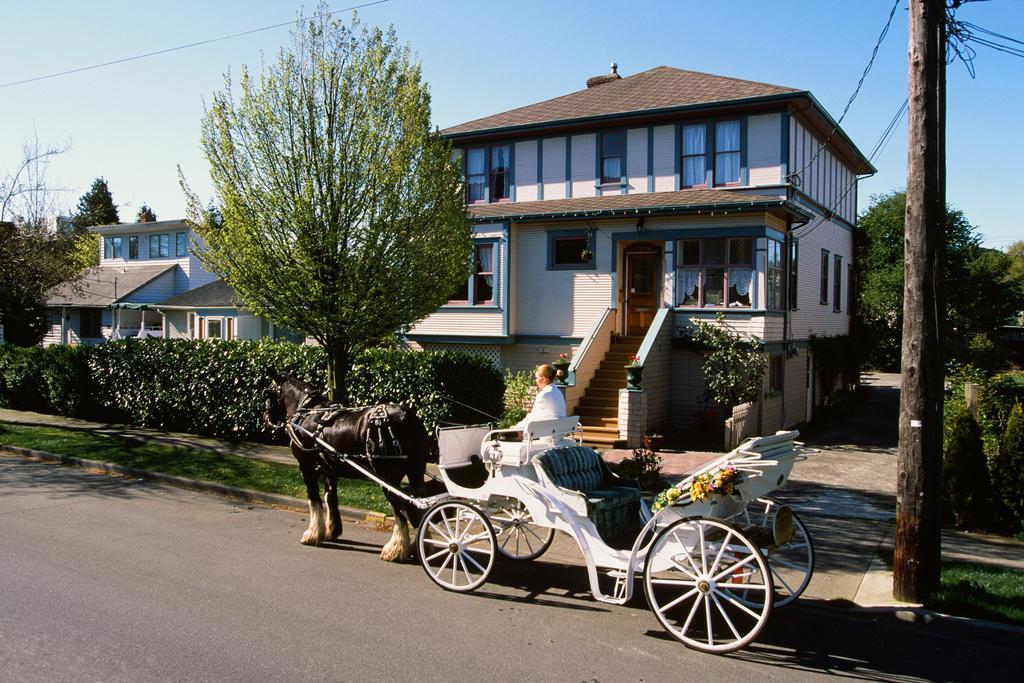 Marketa'S Bed And Breakfast Victoria Zewnętrze zdjęcie